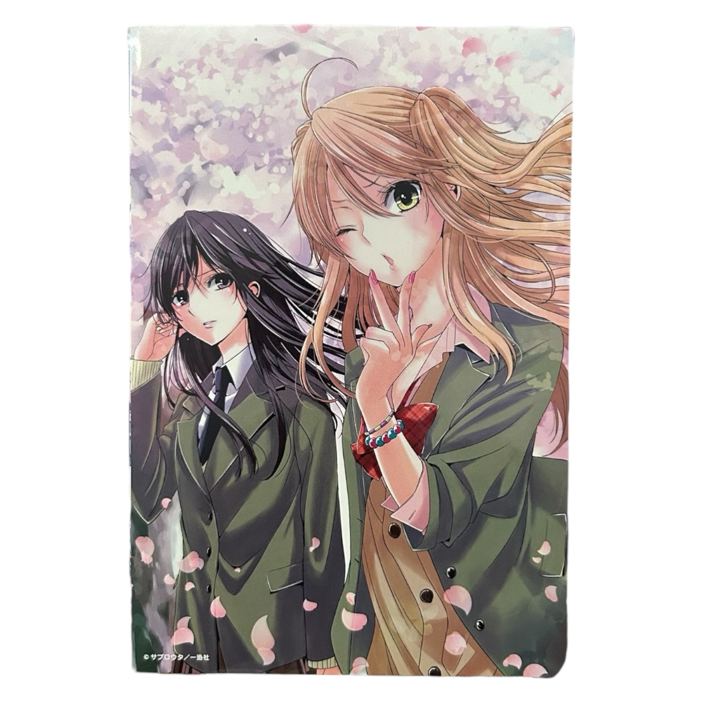 Citrus - 10th Anniversary: Postkartenset