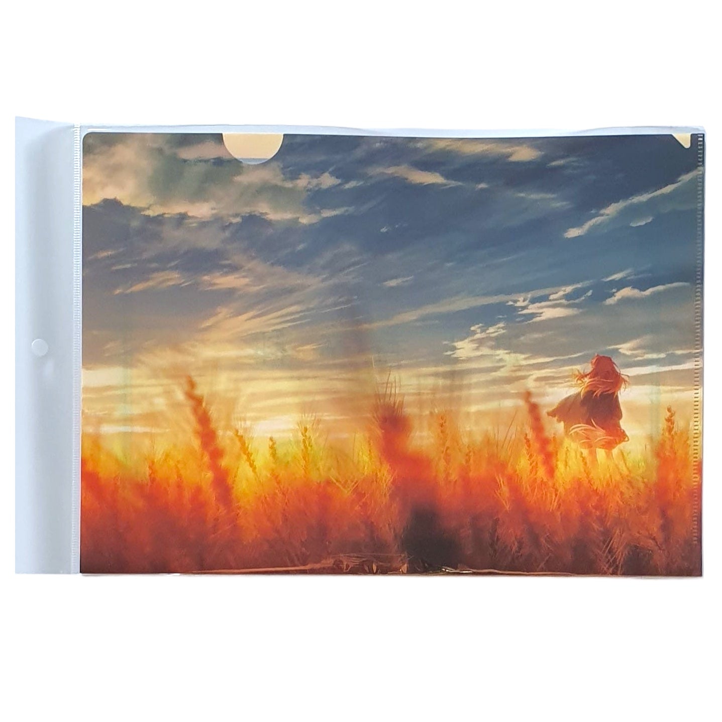 Spice and Wolf - Clearfile: Holo im Feld